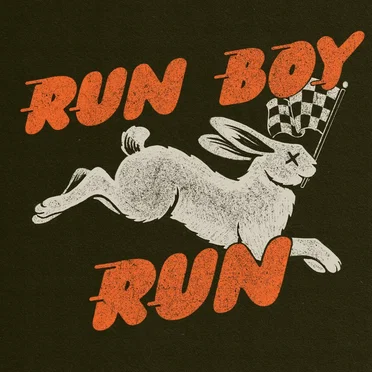 Run Boy Run by The Brothers Comatose - album cover