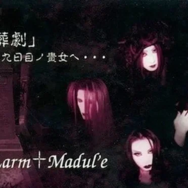 「呪縛葬劇」 ~九日目ノ貴女へ・・・ by Larm†Madul'e - album cover