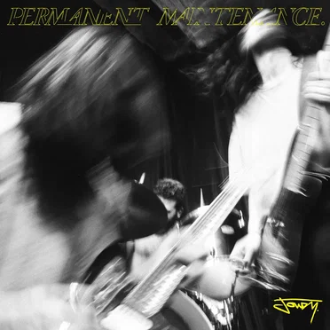 Permanent Maintenance by Joudy - album cover