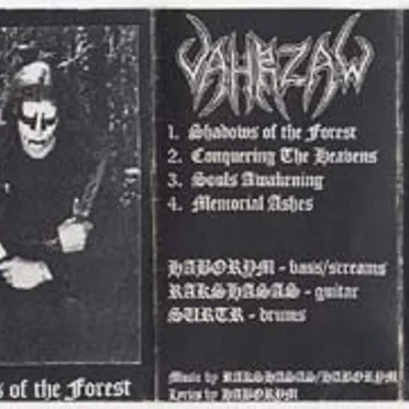 Shadows of the Forest