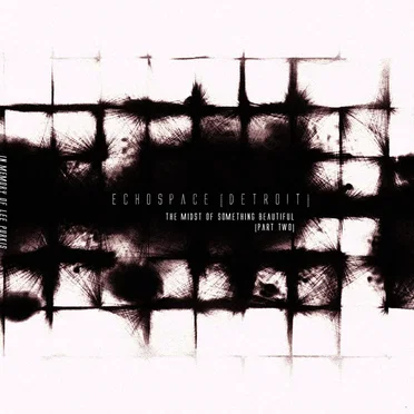 the midst of something beautiful [volume two] remastered by Various Artists - album cover