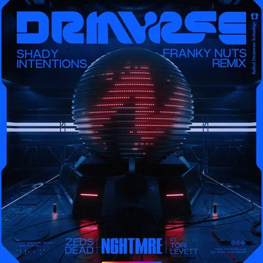 Shady Intentions (Franky Nuts remix)