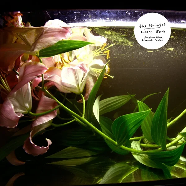 Loose Ends (live From Alien Research Center)