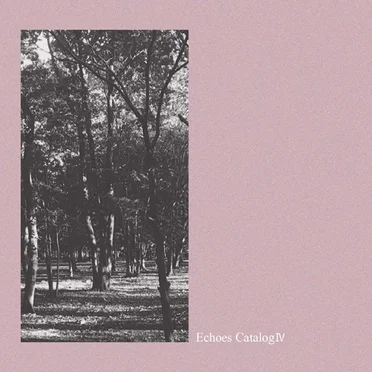 Echoes Catalog IV by Teruyuki Kurihara - album cover