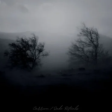 Carrion / Sado Rituals