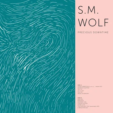 Precious Downtime by S.M. Wolf - album cover