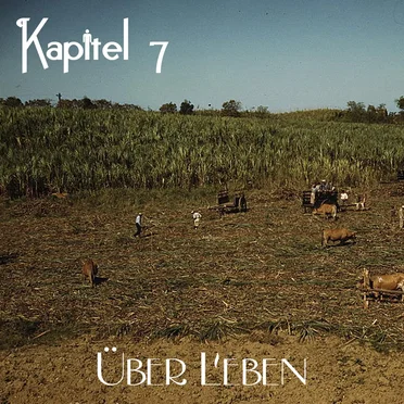 Über Leben by Kapitel 7 - album cover