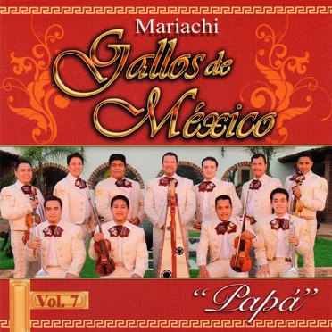 Papa, Vol. 7 by Mariachi Gallos De Mexico - album cover