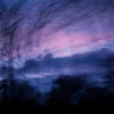 for every dreary morning, and the listless afternoon, with its skies like rhododendrons