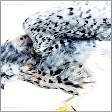 動物の身体 by ハイスイノナサ - album cover