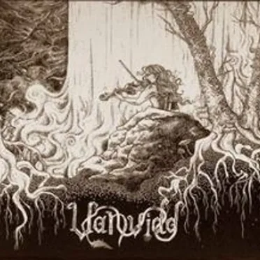 Vanvidd by Vanvidd - album cover