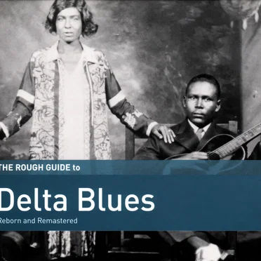 The Rough Guide to Delta Blues by Various Artists - album cover