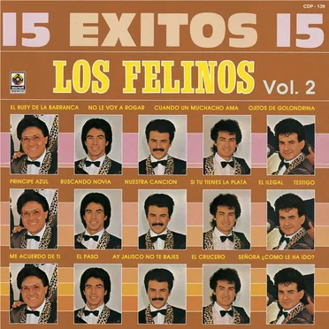 15 éxitos, vol. 2 by Los Felinos - album cover