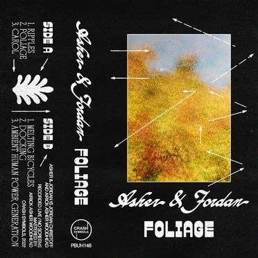Foliage by Asher - album cover