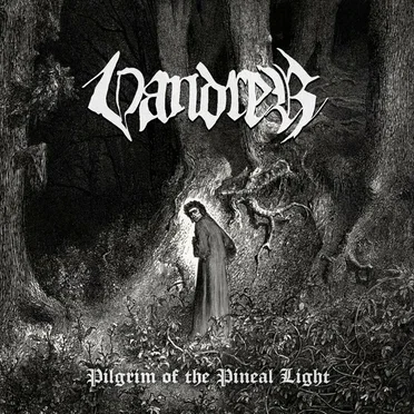Pilgrim of the Pineal Light by Vandrer - album cover