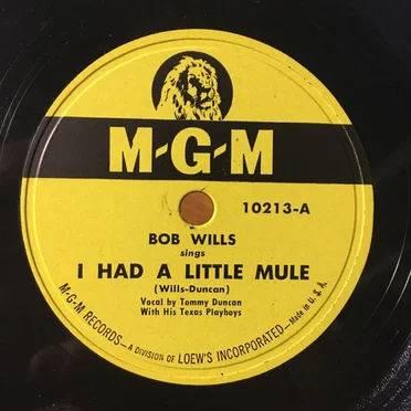 I Had a Little Mule / Blues for Dixie