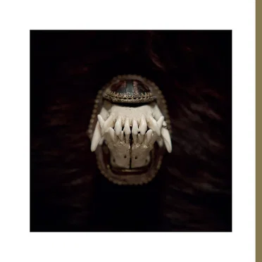 De Toorn (Talisman)