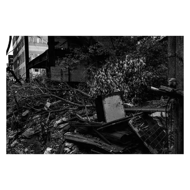 Umwelt