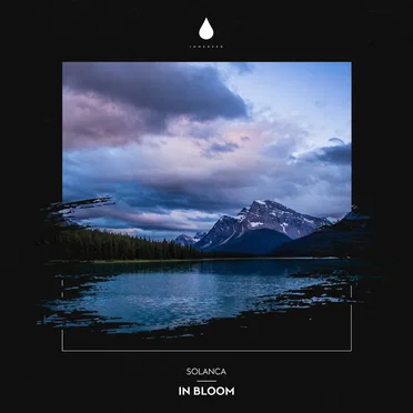 In Bloom by Solanca - album cover