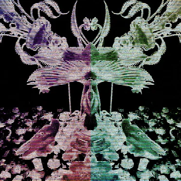 𝙋𝙖𝙡𝙡