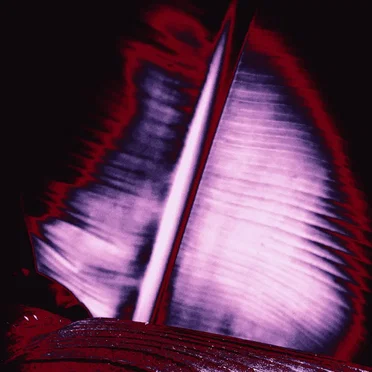 In Too Deep, III by Fuine - album cover