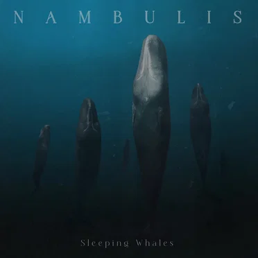 Sleeping Whales