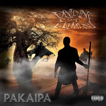 Pakaipa by Dividing the Element - album cover