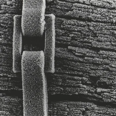 Live at The Icehouse, Bethlehem USA April 19th 2003