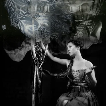 The Distaff by Maud the moth - album cover