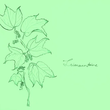 Trimountaine by Trimountaine - album cover