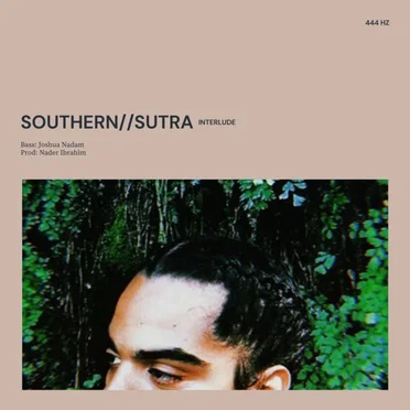 Southern//Sutra Interlude by Subtle Fields - album cover