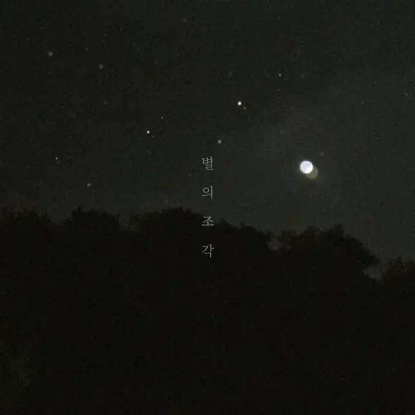 별의 조각
