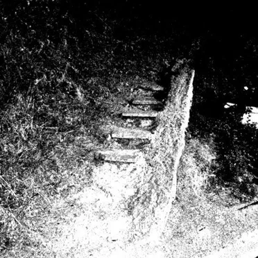 The Remains of Human Bones