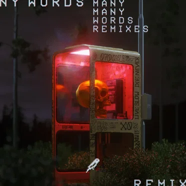 Many Words (remixes)