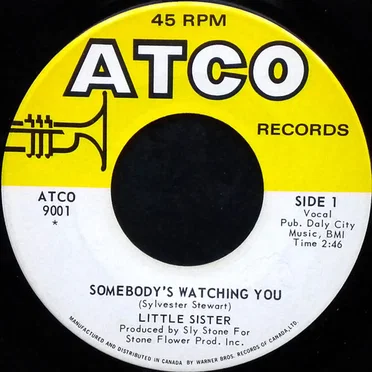 Stanga / Somebody's Watching You