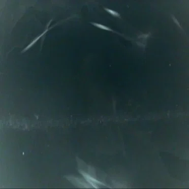 you dont fucking know me