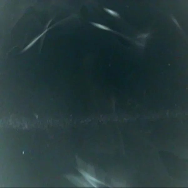 you dont fucking know me