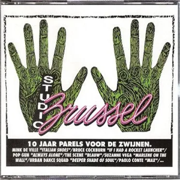 Studio Brussel: 10 jaar parels voor de zwijnen by Various Artists - album cover