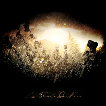 Les Fleurs Du Passé by RAßßeAT - album cover