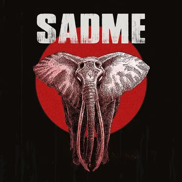 See What's Inside by SadMe - album cover