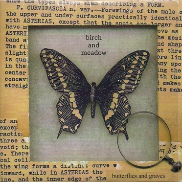 Butterflies And Graves