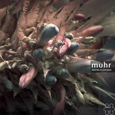 Muhr