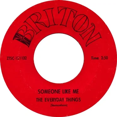 Someone Like Me / What I've Gone Through by The Everyday Things - album cover