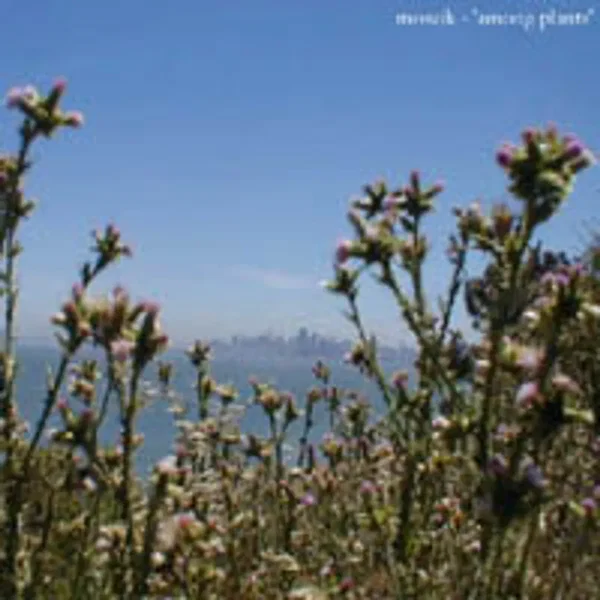 Among Plants