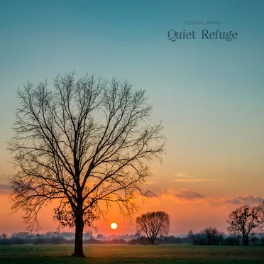Quiet Refuge
