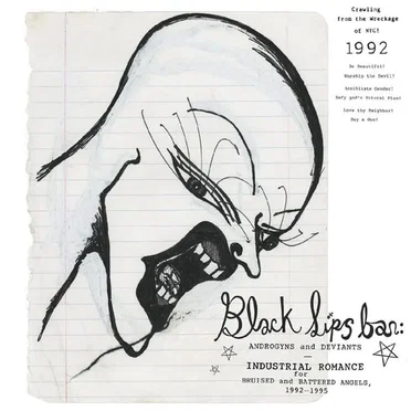 Blacklips Bar: Androgyns and Deviants — Industrial Romance for Bruised and Battered Angels, 1992–1995 by Various Artists - album cover