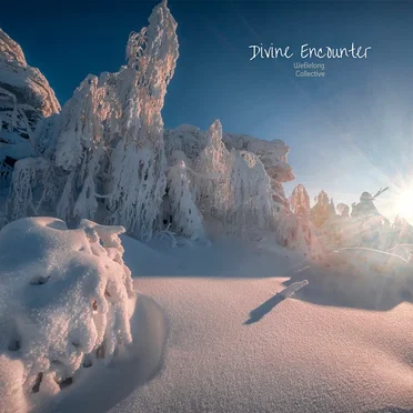 Divine Encounter by WeBelong Collective - album cover