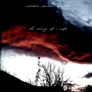 Autumn, Leaves, Scars