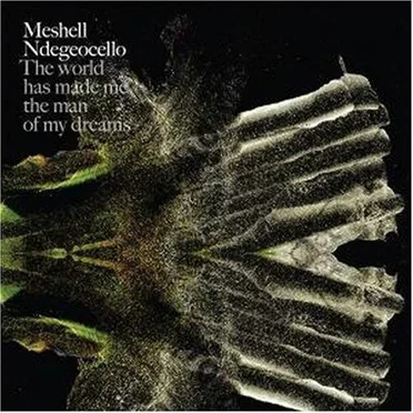 The World Has Made Me the Man of My Dreams by Meshell Ndegeocello - album cover