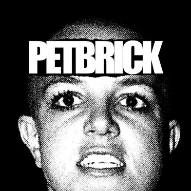 Petbrick